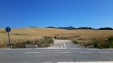 20150620_103258