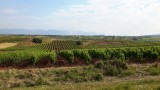 20150623_094801
