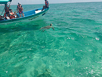 IMG20250715111246