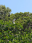 IMG20250715100815