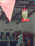 IMG20250716153515