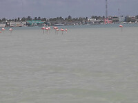 IMG20250716133159