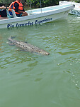 IMG20250716125351