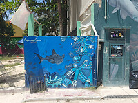 IMG20250719114932