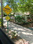 IMG20250720104203