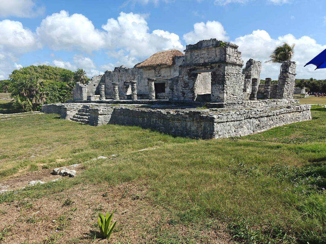 IMG20250721095421