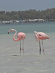 IMG20250716133008