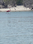 IMG20250719104419