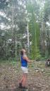 Palmblad balanceren!