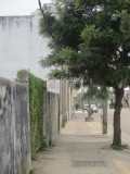 IMG_0802