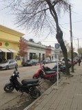 IMG_0810