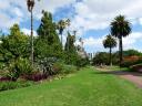 Albert Park