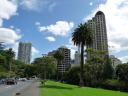 Auckland City