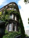 Auckland City