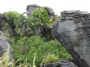 Punakaiki Pancake Rocks