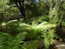 Abel Tasman National Park