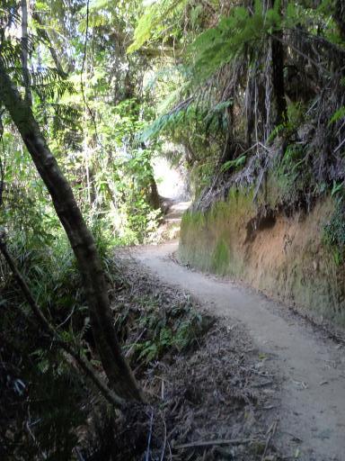 Abel Tasman National Park
