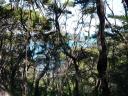 Abel Tasman National Park