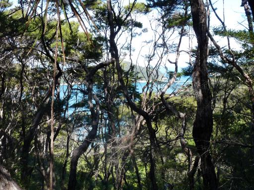 Abel Tasman National Park