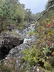 IMG_9684