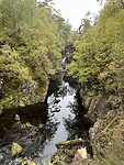 IMG_9687