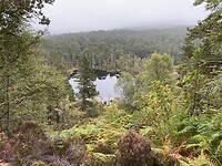 IMG_9726