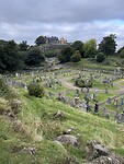 IMG_9971