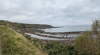 IMG_0009