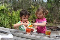 IMG_0537