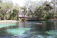 IMG_0580