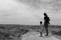 f petrified forest 2