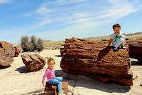 f petrified forest