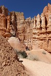 bryce 2