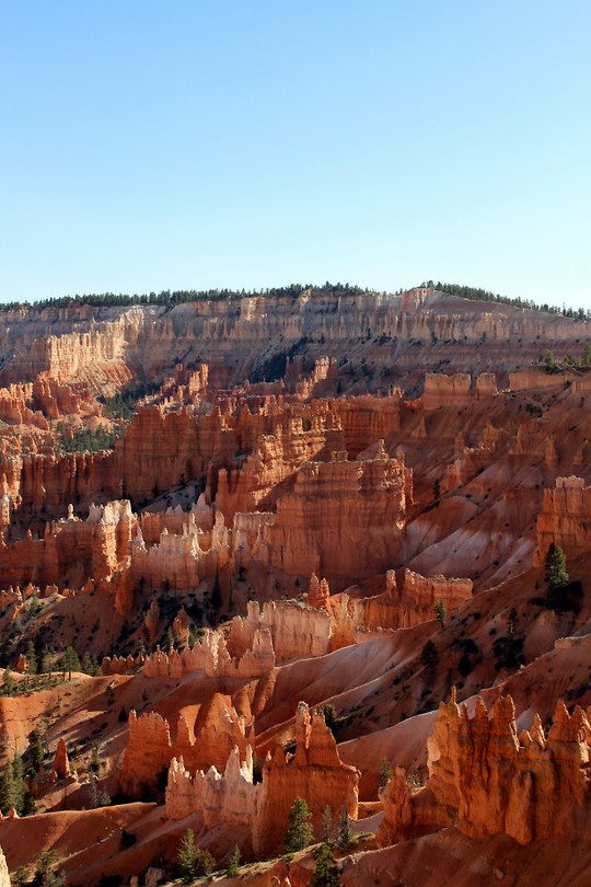 bryce