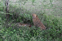IMG_3999