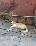 _20191023_131553