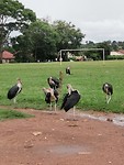 IMG_20200228_114313