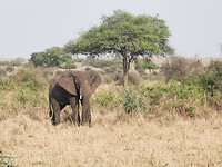 IMG_20220311_172419