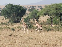IMG_20220311_165725