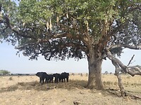 IMG_20220311_162017