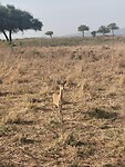 IMG_20220311_082813