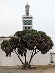 PXL_20221124_120028849