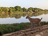 PXL_20221202_174859125