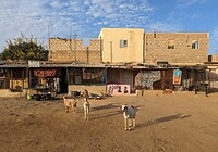 PXL_20221204_081903698