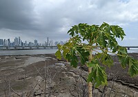PXL_20230307_162433218