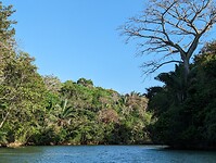 PXL_20230309_215117912