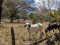 PXL_20230315_175950423