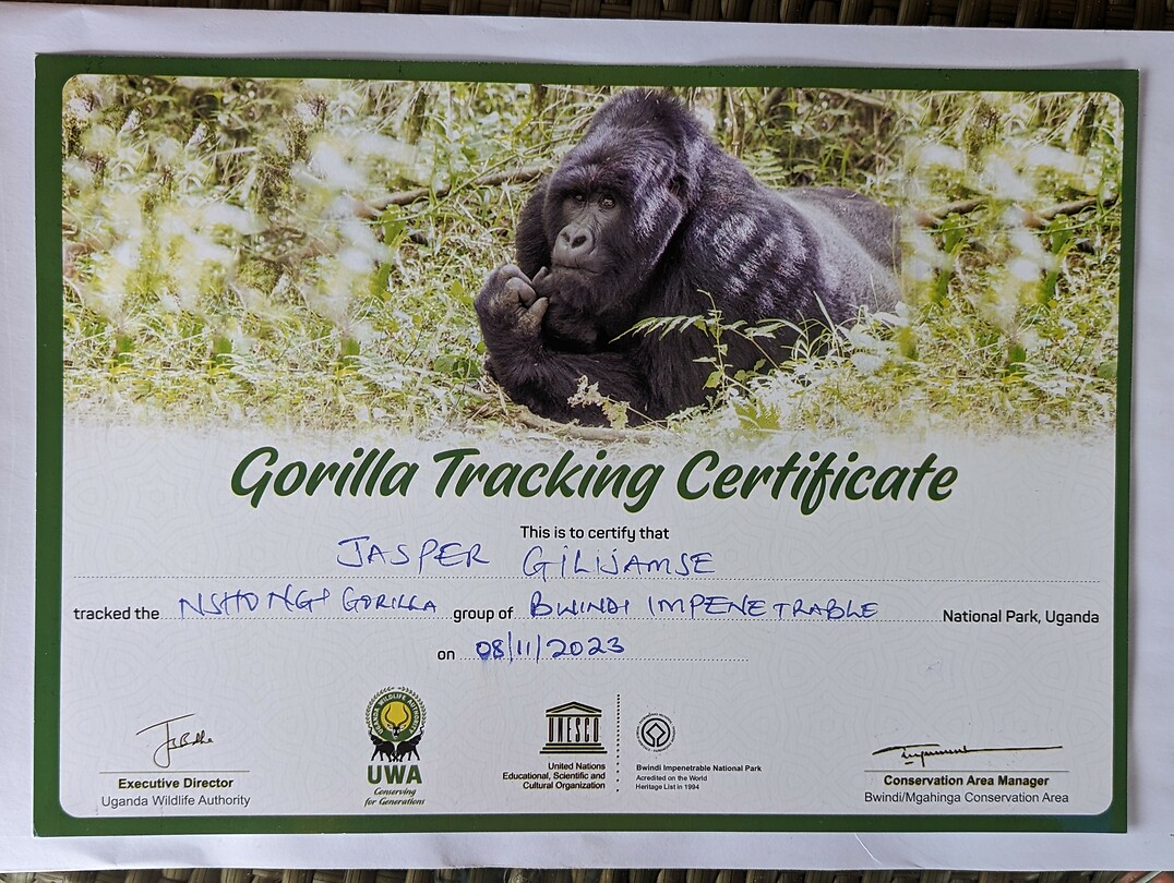 1000012294