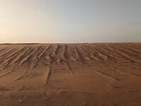 1000016763
