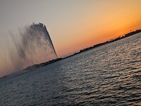 1000017519